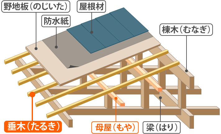 垂木周辺の構造俯瞰図