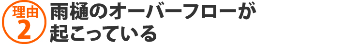 雨樋のオーバーフローが起こっている