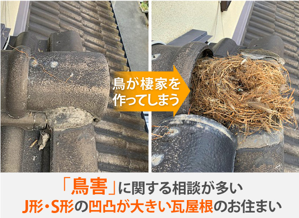 鳥害に関する相談が多いＪ形・Ｓ形凹凸が大きい瓦屋根のお住まい