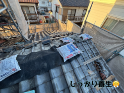 しっかり養生します