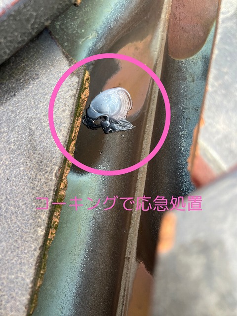 銅板谷 コーキング応急処置