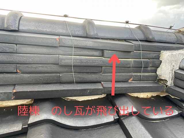 銀黒 陸棟 のし瓦の飛び出し