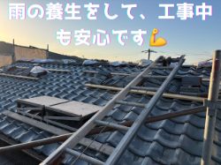 雨の養生をして安心