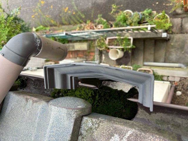 集水器内部にびっしりと苔が繁殖し、水の流れを妨げている状態を上から撮影した写真