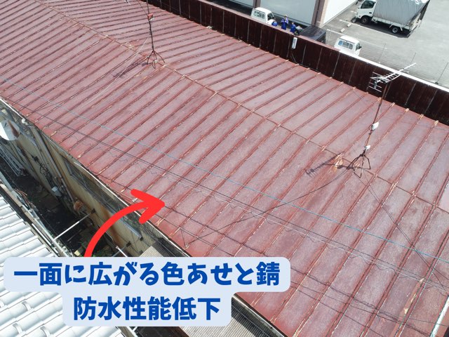 多治見市池田町にて店舗屋根雨漏り調査で判明した錆と劣化による防水性能低下