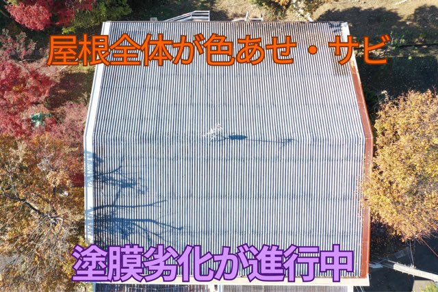 多治見市虎渓山町にて工場屋根の色あせ・サビ・雨樋詰まりによる雨漏り現地調査！