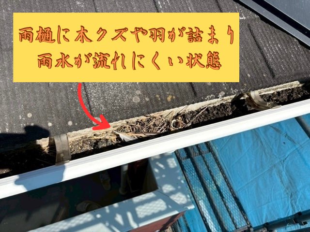 雨樋に木クズや鳥の羽が溜まって詰まりかけている様子