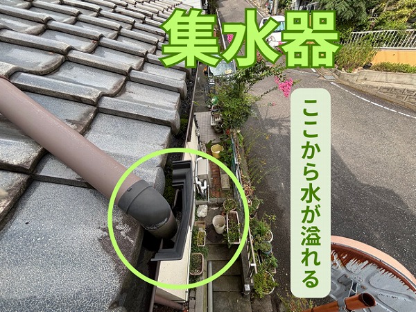 多治見市にて雨どいからの雨水あふれる！集水器に溜まった泥が原因でした！
