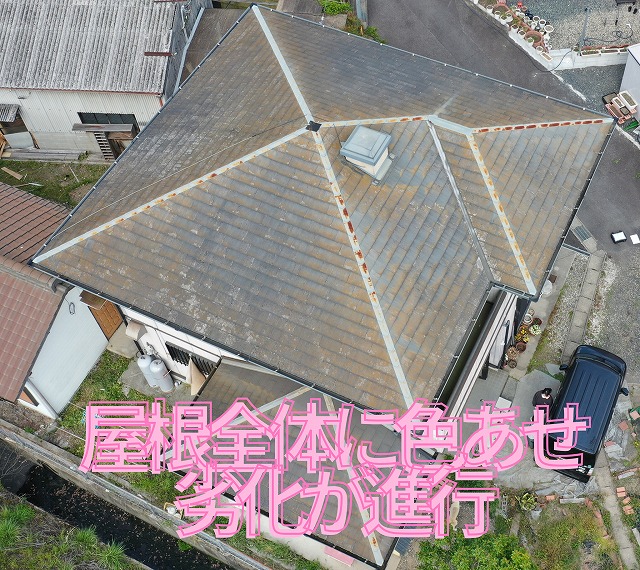 多治見市松坂町にて築30年スレート屋根点検。色あせ・ひび割れ・苔・錆・防水低下が進行する現地調査!