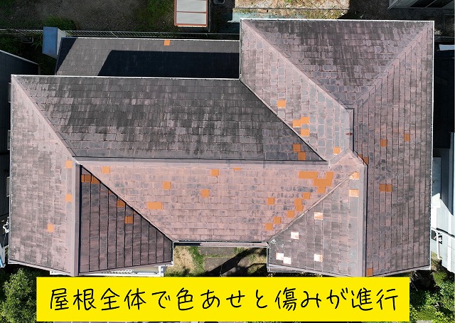 多治見市市之倉町にて築年数が経過した二階建てスレート屋根の現地調査。色あせ・補修跡・雨漏り被害が確認され修繕提案へ！