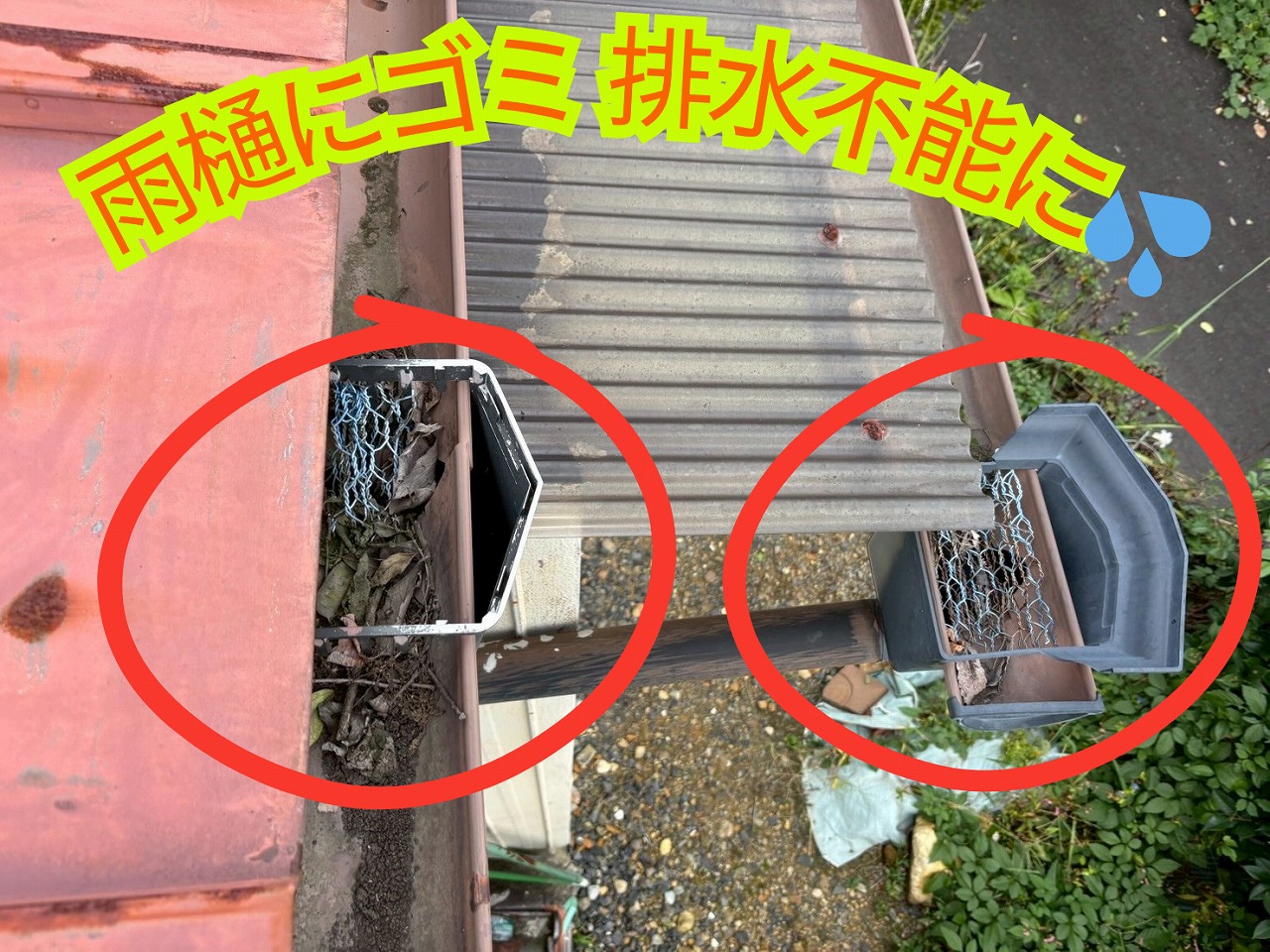 多治見市生田町の住宅で、雨樋に落ち葉や枝が詰まって排水できなくなっている様子
