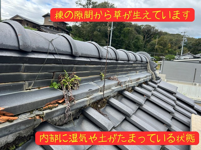 瓦棟のすき間から草が生えている様子。内部の湿気と土の堆積が確認できる写真。