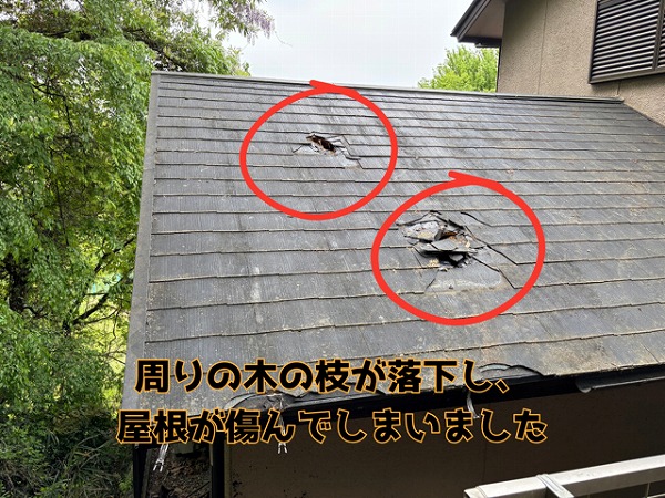 まさかの落下トラブル!?岐阜市日野東で屋根に枝が直撃‥ガルテクトでしっかりカバー工事完了!