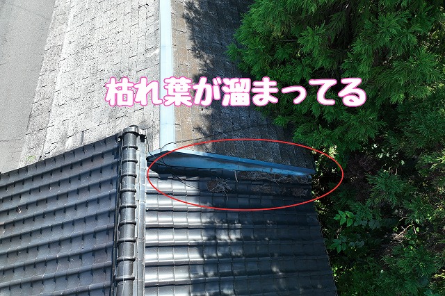 加茂郡八百津町　枯れ葉のつまり