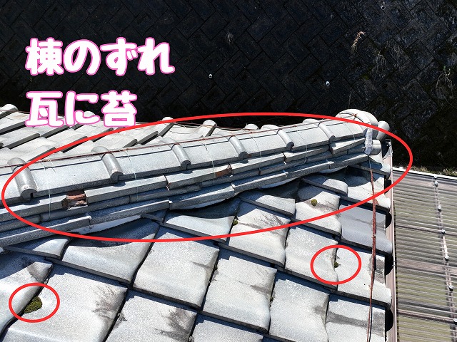 ずれた棟瓦の状況