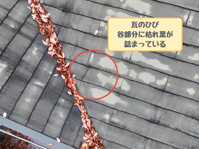 多治見市幸町　谷部分に枯れ葉