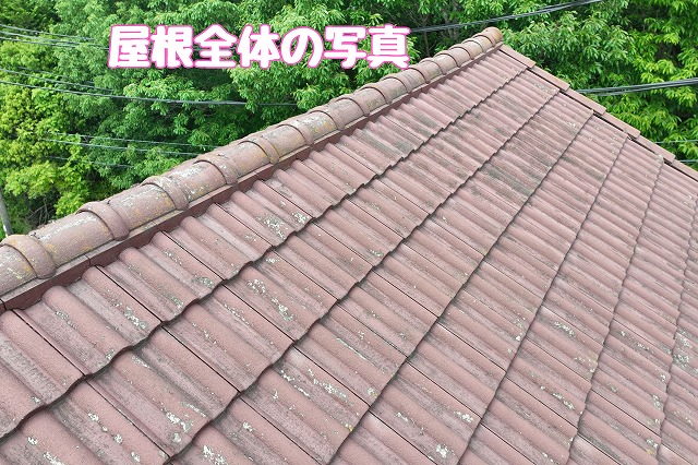 梅雨前に確認したい多治見市大藪町の雨樋｜排水不良の原因となる枯れ葉や雑草、袖瓦のずれを調査し必要な修理をご提案