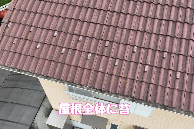 多治見市大薮町　屋根全体の写真