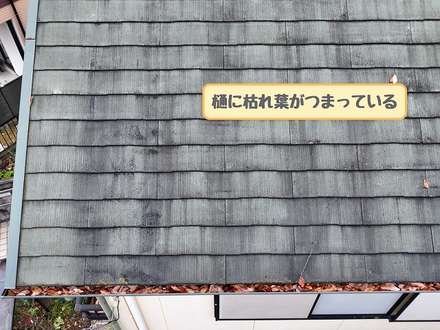 多治見市幸町　樋に枯れ葉