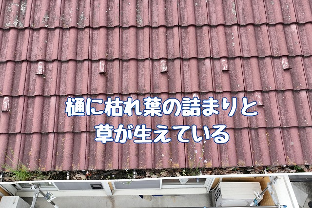 多治見市大薮町　雨樋の詰まり