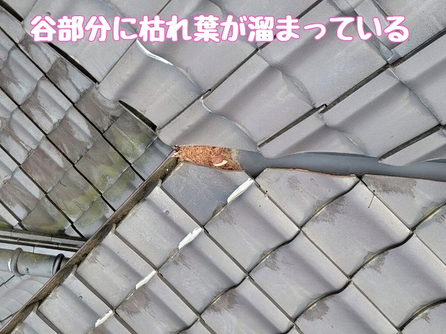 築約35年の多治見市御嵩町で雨樋を点検｜谷や集水器、樋に詰まった枯れ葉を確認し定期清掃をご提案