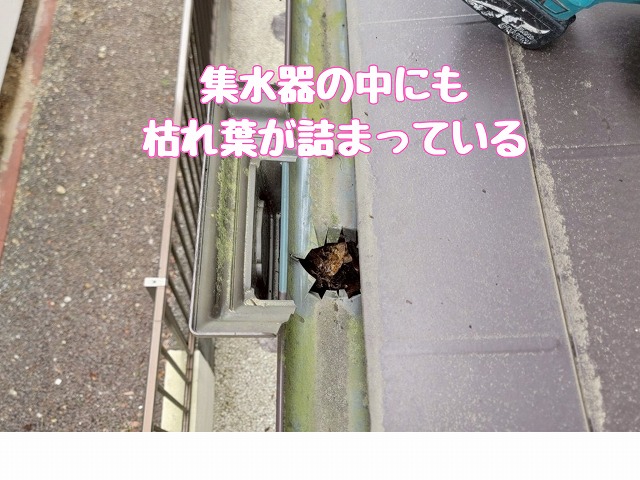 別角度の集水器詰まり