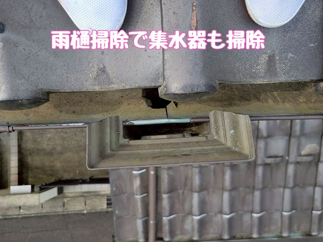 清掃後の集水器内部