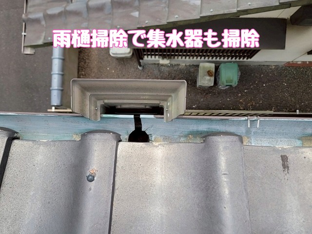 清掃後の雨樋と集水器