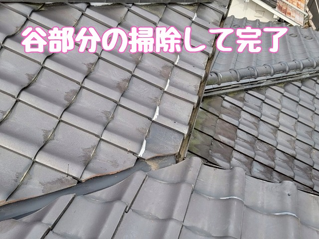 清掃後の谷部分