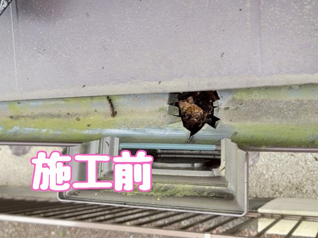 集水器に枯れ葉