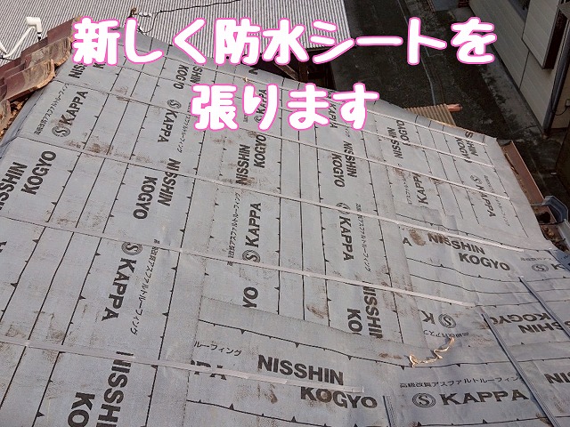 新しい防水シートの施工