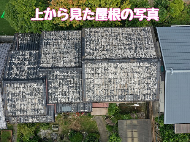 屋根全体の調査写真