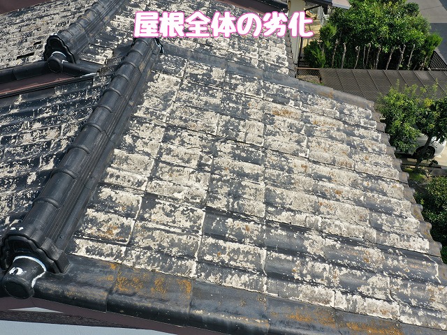 屋根全体の劣化状況