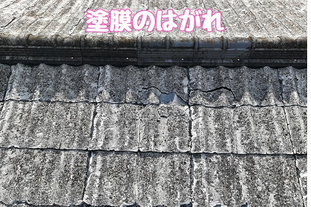 塗膜のはがれ（近接）