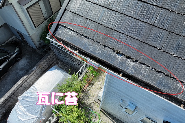 多治見市皐ヶ丘　瓦に苔