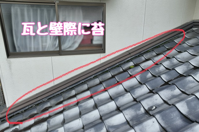 多治見市脇之島町　瓦に苔