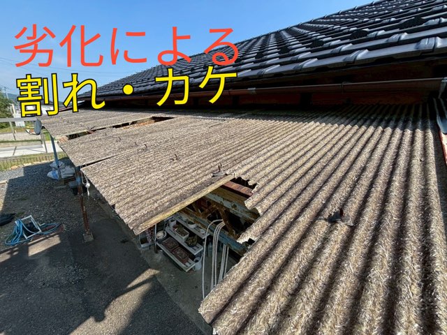 上から見た波板屋根。複数箇所で割れや欠けが進行している様子