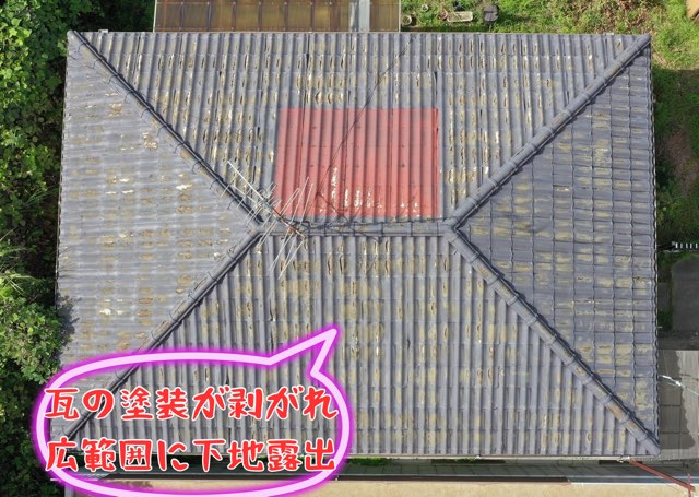 真上から見た屋根全景。塗装剝がれによる素地露出、補修板金の劣化、棟部の苔や汚れが見られる。