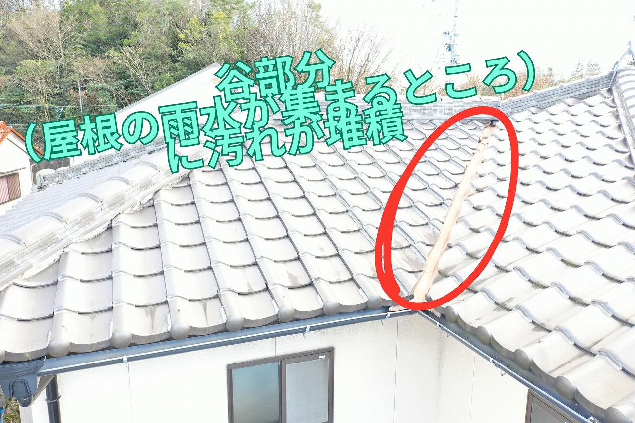 屋根の谷部に汚れが溜まり、排水の流れが悪くなっている状態