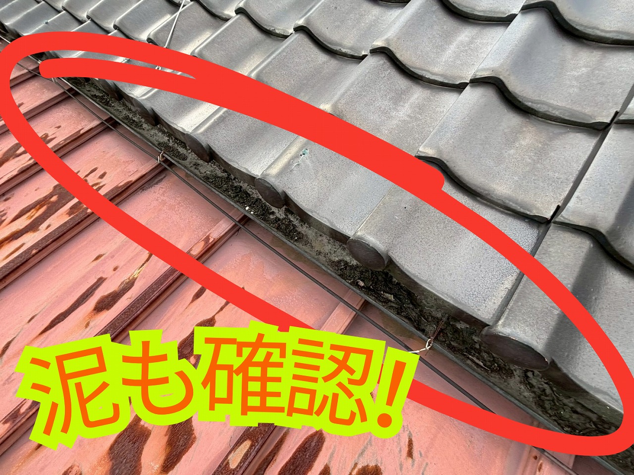 軒下の瓦部分に泥がたまり、雨樋内に汚れが堆積している様子