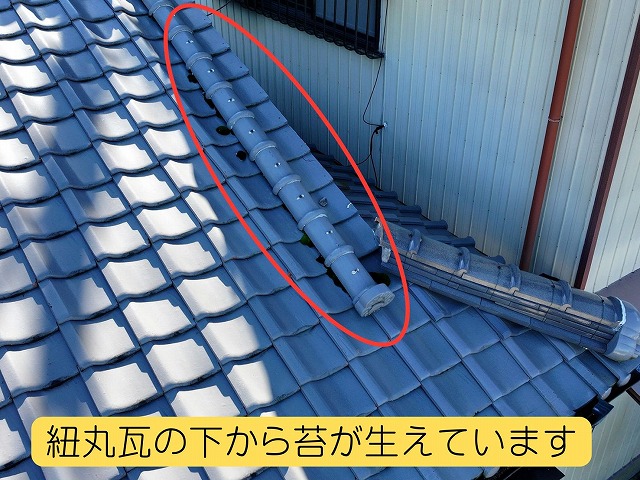 可児市　和瓦　紐丸瓦の下から苔が生えています