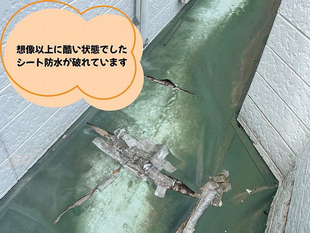 可児市　防水工事　シート防水が破れ下地が見えている状態です