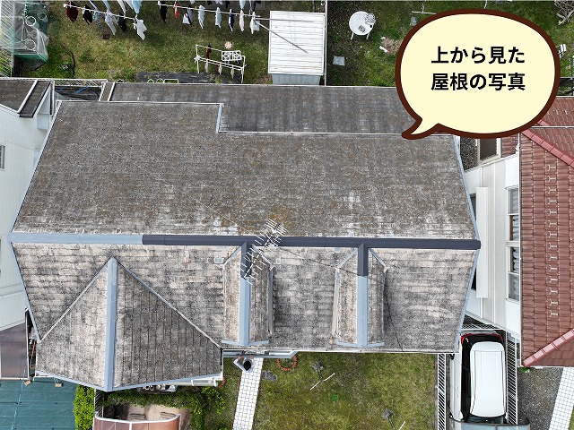 上から見た屋根の全景