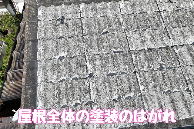 屋根全体の塗装のはがれ