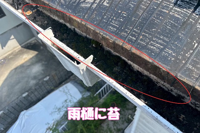 多治見市皐ヶ丘　雨樋に苔