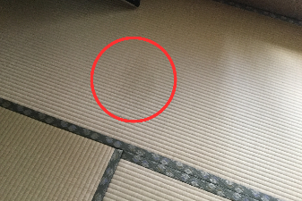 雨漏りの写真