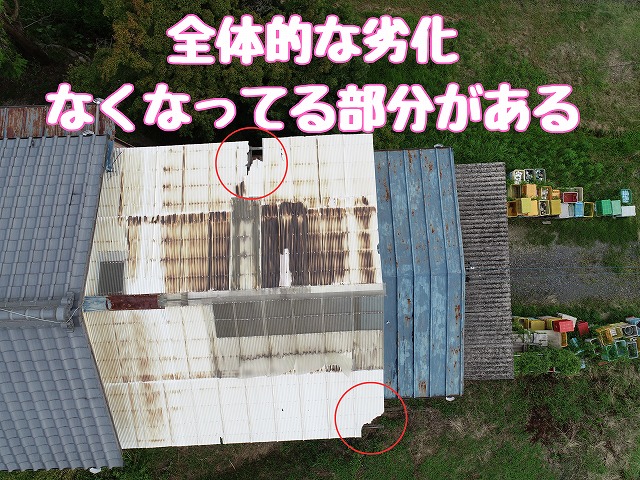 波板の欠損・劣化箇所の目視