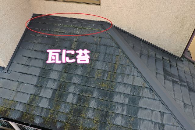 春日井市坂下町　瓦に苔