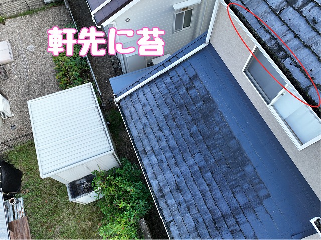 軒先に苔が付いた屋根