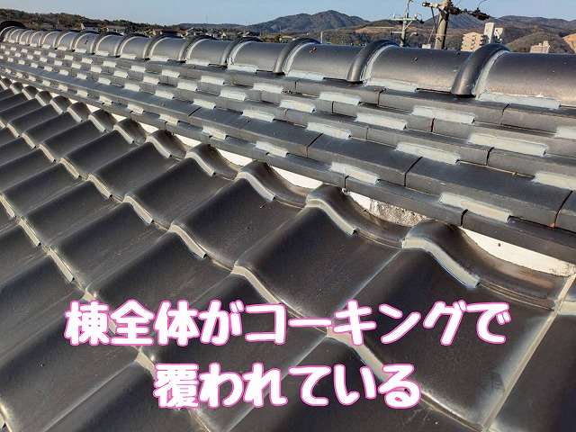 棟全体のコーキング跡